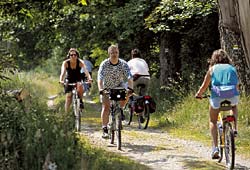 Radurlaub im Nationalparkhotel Bayern