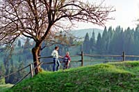 Urlaub am Aber Bayerischer Wald