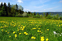 Hotel mit Tagungsräumen in Bayern
