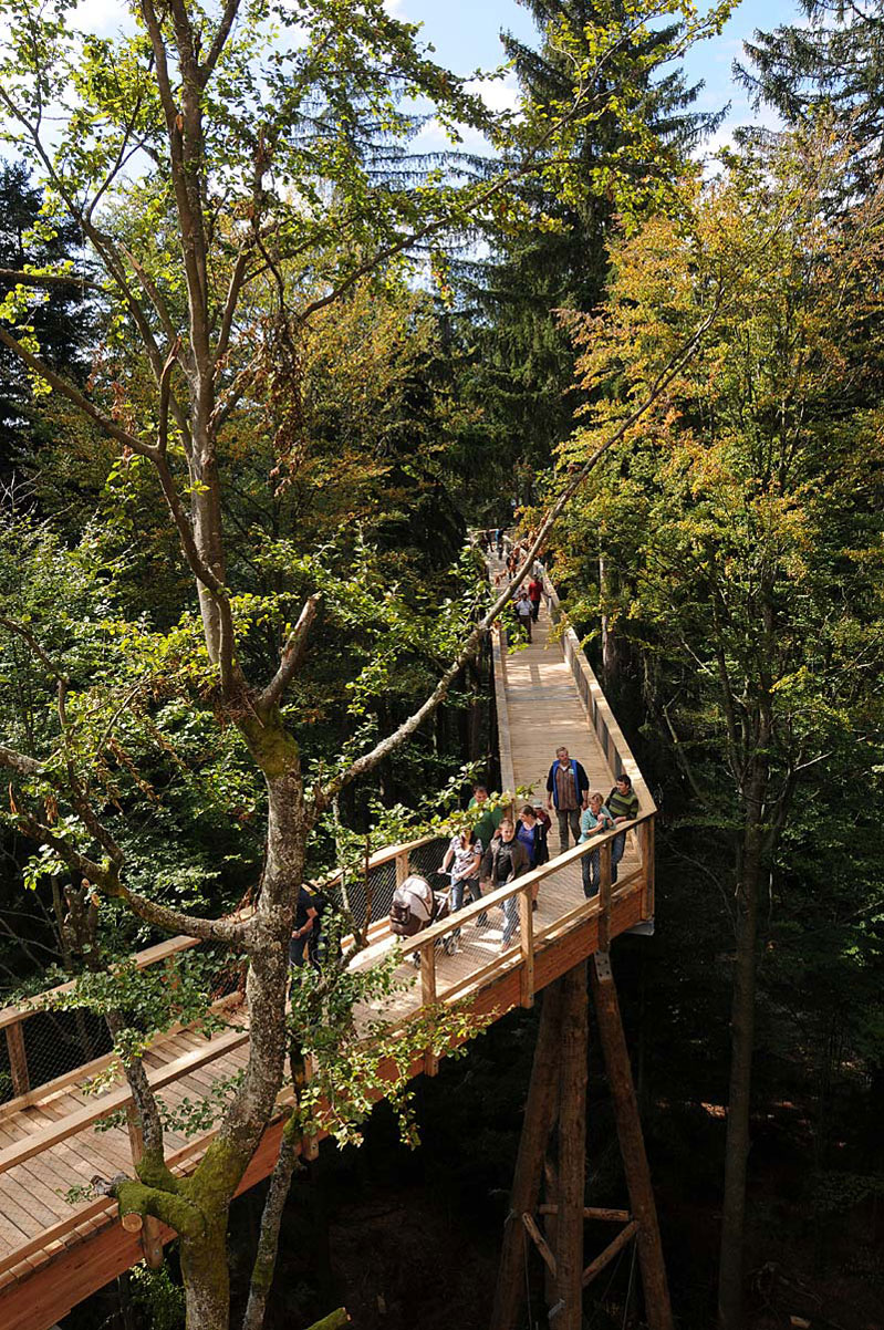 Wandern im Nationalpark auf dem Baumwipfelpfad