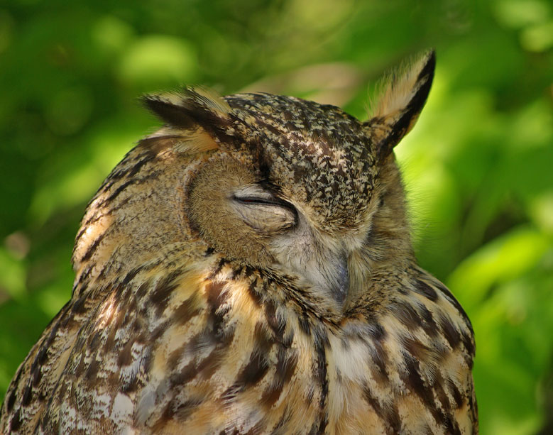 Wandern im Nationalpark - Hans Eisenmann Haus