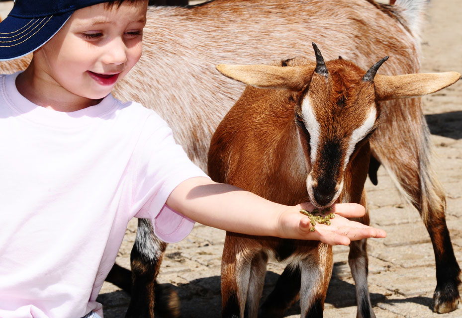 Kinder auf dem Bauernhof im Bayerischen Wald 