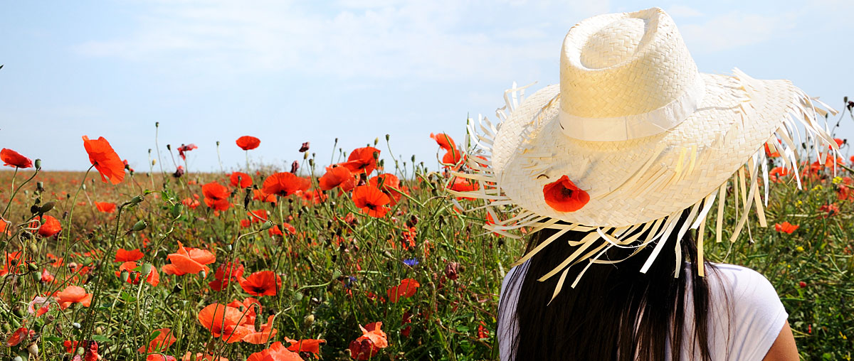 Sommerurlaub im Bayerischen Wald