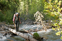 Wandern Bayerischer Wald
