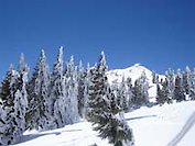 Bodenmais ein Aufregender Winterurlaub im Bayerischen Wald